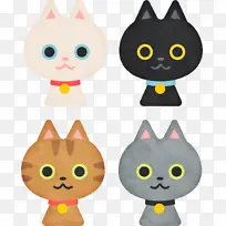小猫 胡须 家养短毛猫