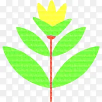 叶 植物茎 花