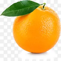橙子 水果 血橙
