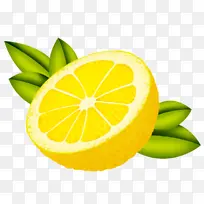 柠檬 甜柠檬 酸橙