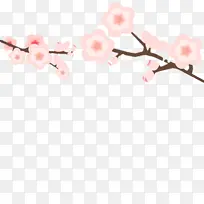 樱花 花瓣 树枝