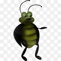 甲虫 蜜蜂 害虫