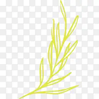 草 植物茎 叶