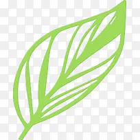 简单叶 简单叶画 简单叶轮廓