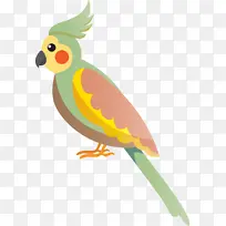 鸟类卡通 可爱的小鸟 虎皮鹦鹉