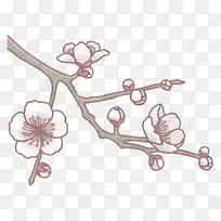 小枝 花 花卉设计