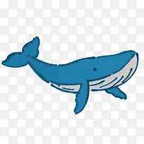 海豚 鲸类 鲨鱼