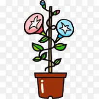 牵牛花 夏花 素描