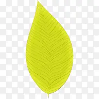 简单的叶子 简单的叶子画 简单的叶子轮廓