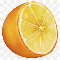 柠檬 瓦伦西亚橙 葡萄柚