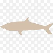 鲸类 鲨鱼 海豚