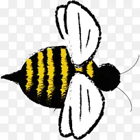 昆虫 大黄蜂 蜜蜂