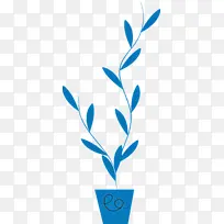 植物茎 观赏植物 叶