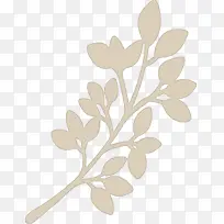 树枝 植物茎 叶