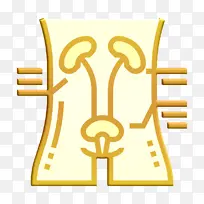 血液图标 健康检查图标 肾脏图标
