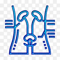 健康检查图标 肾脏图标 血液图标
