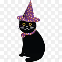万圣节快乐 黑猫 胡须