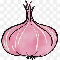 蔬菜 收获 秋天