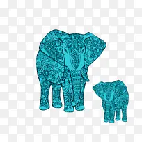 印度象 非洲丛林象 大象