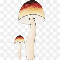 水彩蘑菇 水彩 油漆