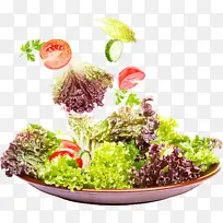 蔬菜 蔬菜酱 蔬菜沙拉