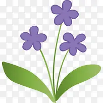 紫罗兰花 植物茎 花