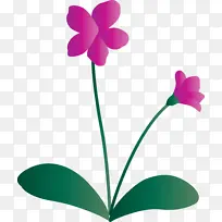 紫罗兰花 花 植物茎