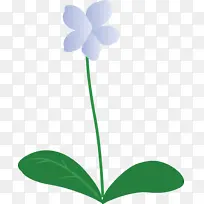 紫罗兰花 植物茎 花