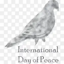 国际和平日 世界和平日 绘画