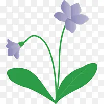 紫罗兰花 花 水彩画