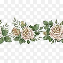 花卉设计 花园玫瑰 卷心菜玫瑰