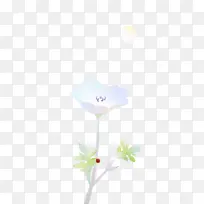 植物茎 玫瑰科 静物摄影