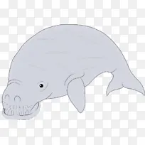 鲸目动物 卡通 鱼