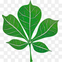 叶 植物茎 草药