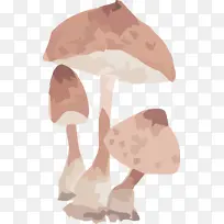 蘑菇 嗯