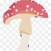蘑菇 帽子 卡通