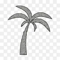 自然图标 棕榈树图标 海滩图标