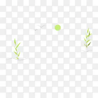 叶子 植物茎 草