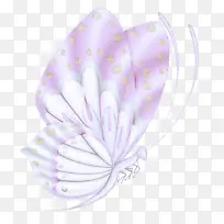 紫罗兰 花 薰衣草