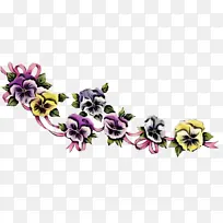 花卉设计 切花 花瓣