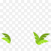 叶 植物茎 树