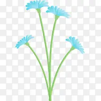 蒲公英花 水彩画 颜料