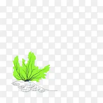 水彩画 颜料 湿墨