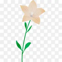 气球花 水彩 油漆