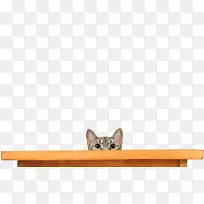 小猫 猫 胡须