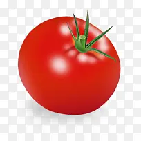 李子番茄 番茄 意大利料理