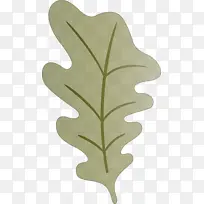 橡树叶 叶子 植物茎