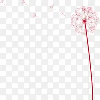 蒲公英 花 花瓣