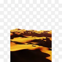 黄色 米 生态区