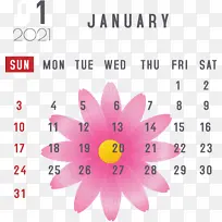 一月 一月日历 花瓣